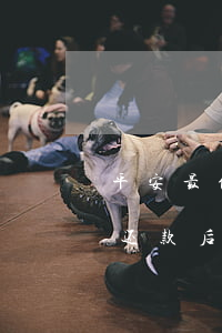 平安最低还款后剩下的逾期一天-平安最低还款后剩下的逾期一天算逾期吗