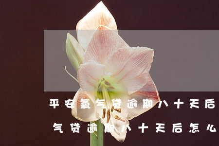 平安氧气贷逾期八十天后怎么处理-平安氧气贷逾期八十天后怎么处理的