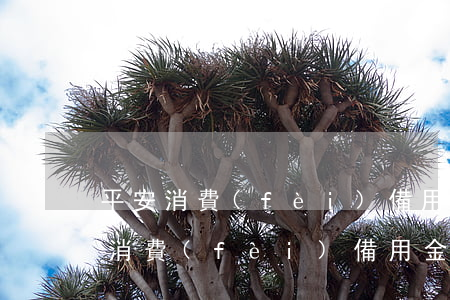 平安消費(fèi)備用金逾期兩年-平安消費(fèi)備用金沒還完還能再申請(qǐng)嗎