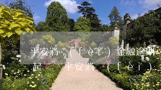 平安消費(fèi)金融逾期會(huì)起訴嗎(平安消費(fèi)金融貸款逾期 說立案處理真的嗎)