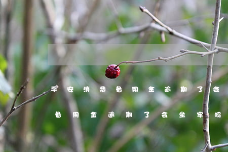 平安消费备用金逾期了会坐牢吗-平安消费备用金逾期了会坐牢吗怎么还