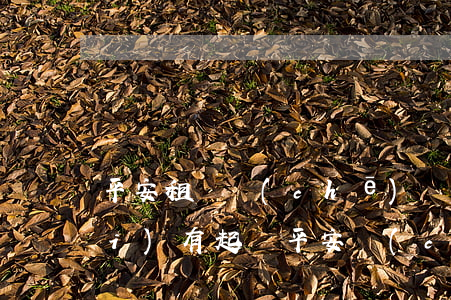 平安租賃車(chē)貸逾期兩年沒(méi)有起訴(平安車(chē)貸逾期了幾個(gè)月后還沒(méi)有收到銀行起訴)