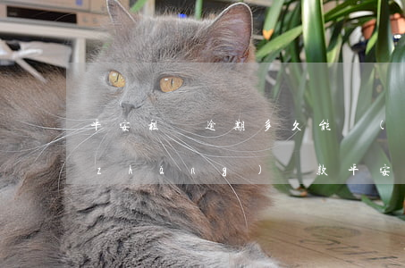 平安租賃逾期多久能協(xié)商延長(zhǎng)還款(平安租賃還款遲一天)
