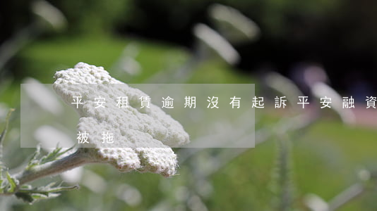 平安租賃逾期沒有起訴(平安融資租賃車逾期被拖)
