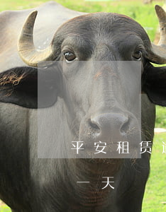 平安租赁逾期一天上征信吗(平安租赁还款迟一天)