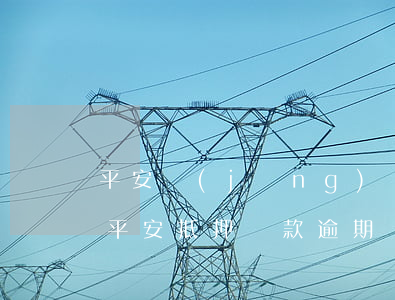 平安經(jīng)營(yíng)貸逾期(平安抵押貸款逾期)