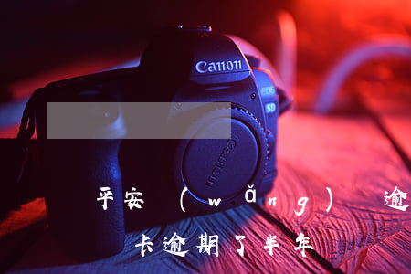 平安網(wǎng)貸逾期了怎么辦(平安貸貸卡逾期了半年)