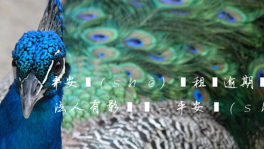 平安設(shè)備租賃逾期對(duì)法人有影響嗎-平安設(shè)備租賃逾期對(duì)法人有影響嗎知乎