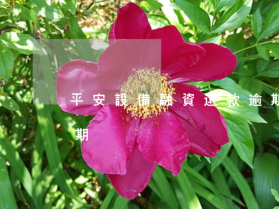 平安設備融資還款逾期(平安設備融資還款逾期)