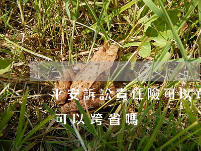平安訴訟責任險可以跨省嗎(平安訴訟責任險可以跨省嗎)