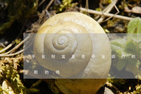 平安財富寶是平安銀行的嗎（平安財富寶有逾期的嗎）