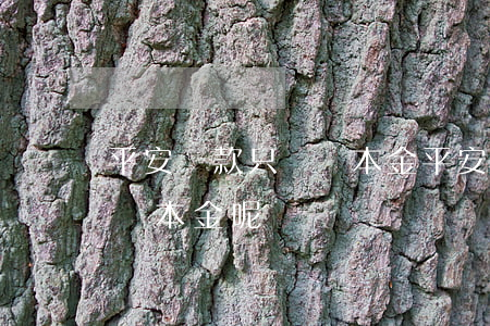 平安貸款只償還本金(平安貸款還不起可以只還本金呢)