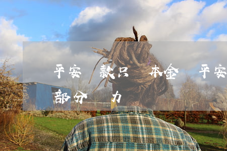 平安貸款只還本金嗎(平安貸款本金還完,剩余部分無力償還)