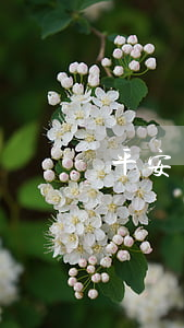 平安貸款消費(fèi)貸還不起