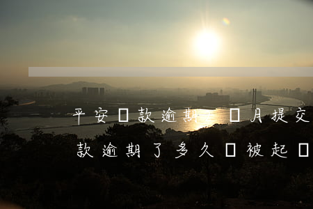 平安貸款逾期2個月提交法院(平安銀行的貸款逾期了多久會被起訴)