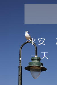 平安貸款逾期一天上征信(平安普惠貸款逾期一天會上征信報(bào)告嗎)