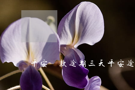平安貸款逾期三天 平安逾期5天