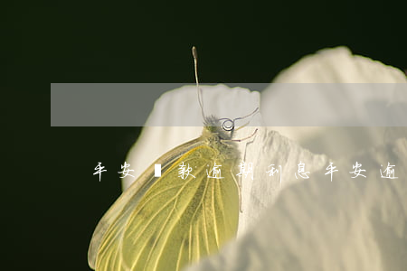 平安貸款逾期利息(平安逾期利息是多少)