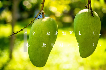 平安貸款逾期可以協(xié)商嗎(平安普惠貸款逾期可以協(xié)商還款嗎?)