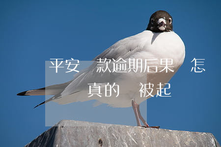 平安貸款逾期后果會怎樣(欠平安的貸款逾期沒還真的會被起訴嗎)