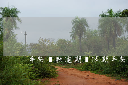 平安貸款逾期寬限期(平安銀行房貸寬限期)