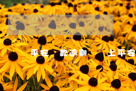 平安貸款逾期沒還上(平安貸款沒還完還能貸嗎)