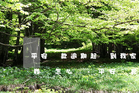 平安貸款逾期起訴到我家調(diào)查我該怎么辦-平安貸款逾期了現(xiàn)在被起訴了說(shuō)詐騙請(qǐng)問(wèn)會(huì)去坐牢嗎