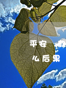 平安貸款還不上-平安銀行貸款還不上有什么后果