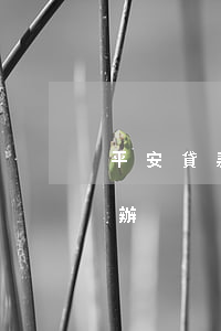 平安貸款還不上怎么辦(平安貸款還不上怎么辦)