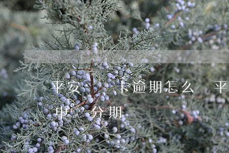 平安貸貸卡逾期怎么辦（平安信用卡逾期怎么申請分期）