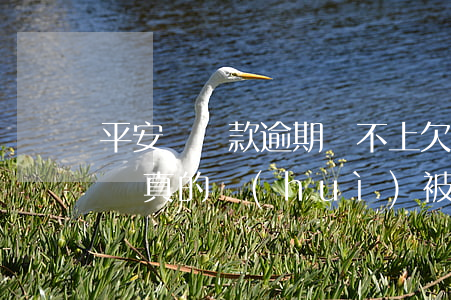 平安貸貸款逾期還不上(欠平安的貸款逾期沒還真的會(huì)被起訴嗎)