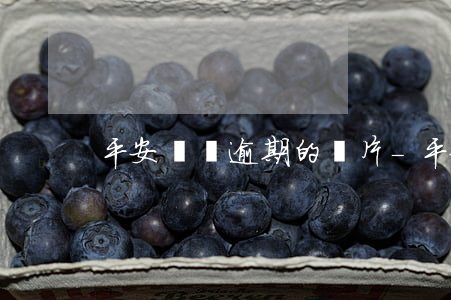 平安賬單逾期的圖片-平安 賬單日