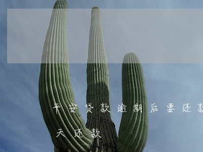 平安贷款逾期后要还款(平安银行贷款超过一天还款)