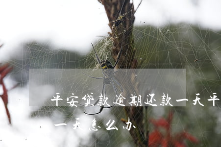 平安贷款逾期还款一天(平安信用卡逾期还款一天怎么办)