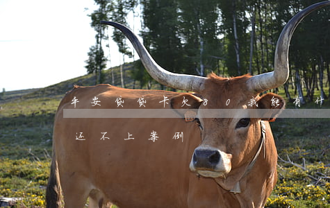 平安贷贷卡欠80我能有什么事(平安贷贷卡还不上案例)