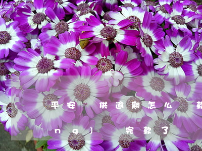 平安車供逾期怎么還款(平安車貸已經(jīng)還完款了)