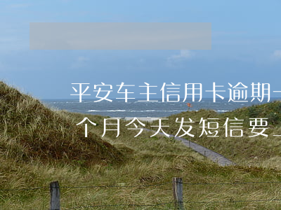 平安车主信用卡逾期一天(平安信用卡逾期一个月今天发短信要上门)