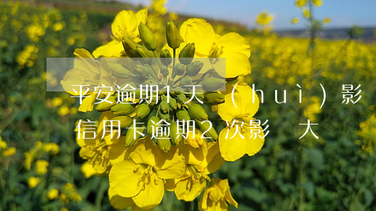 平安逾期1天會(huì)影響信用嗎（平安信用卡逾期2次影響大嗎）