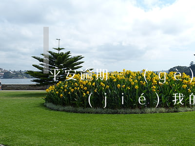 平安逾期一個(gè)月說(shuō)要凍結(jié)我的資產(chǎn)-平安逾期一個(gè)月說(shuō)要凍結(jié)我的資產(chǎn)是真的嗎
