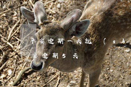 平安逾期一天就說(shuō)要起訴我(平安逾期5天)