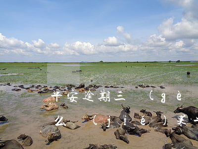 平安逾期三個(gè)月會(huì)有什么結(jié)果（平安銀行逾期三個(gè)月后還）