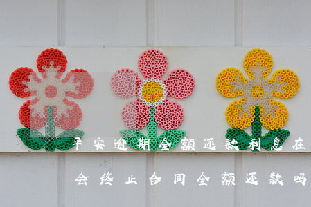 平安逾期全额还款利息(在平安普惠贷款逾期会终止合同全额还款吗)
