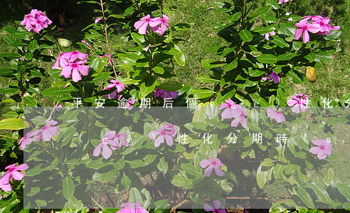 平安逾期后個(gè)性化分期條件(平安個(gè)性化分期時(shí)間一般多少期)