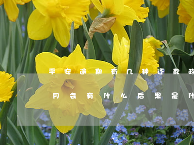 平安逾期有几种还款政策(平安贷款逾期四个月会有什么后果是什么)