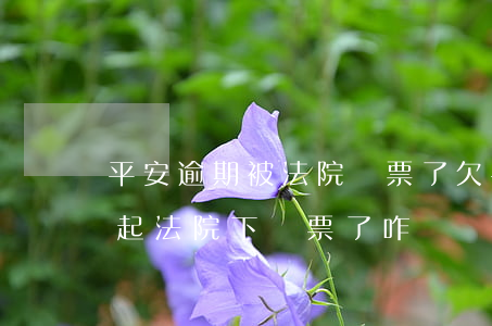 平安逾期被法院傳票了(欠平安銀行貸款還不起法院下傳票了咋辦)