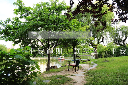 平安逾期貸款怎么還(平安逾期貸款怎么還)