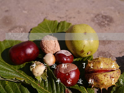 平安逾期過了20天還了會(huì)影響嗎-平安逾期過了20天還了會(huì)影響嗎