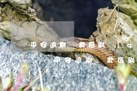 平安逾期還款后刷錢(qián)后還可以嗎-平安逾期還款后刷錢(qián)后還可以嗎怎么辦