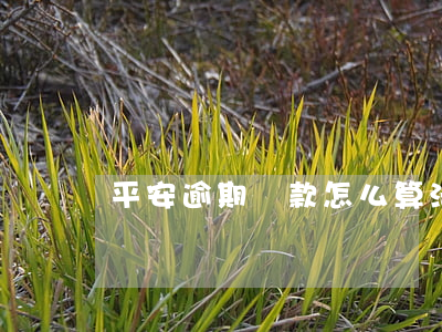 平安逾期還款怎么算法