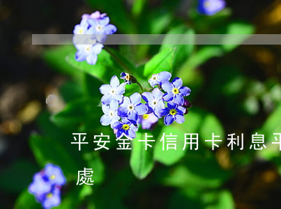 平安金卡信用卡利息(平安信用金卡有什么好處)